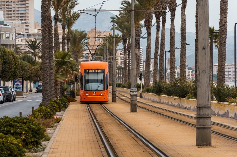 Alicante in Spring: tram