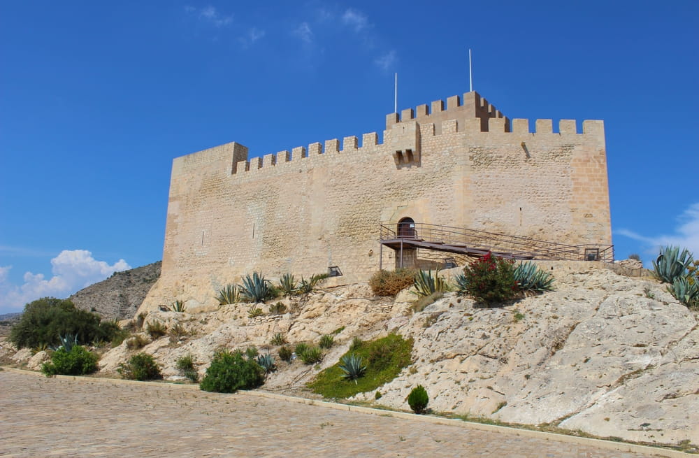 Castillo de Petrer
