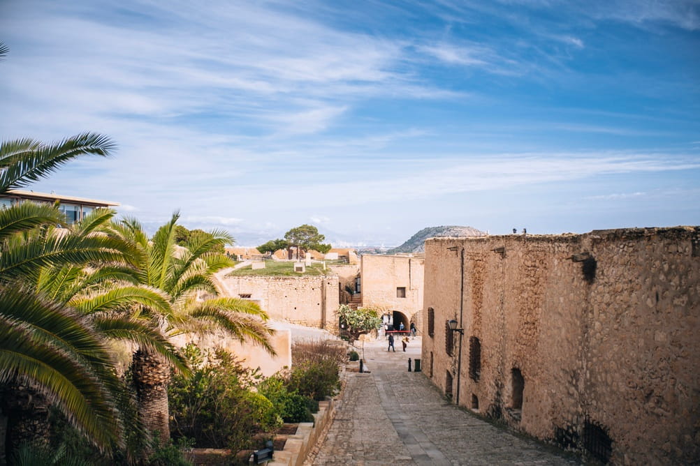 Stone pathway inside Santa Barbara Castle in Alicante with palm trees and historic fortress walls