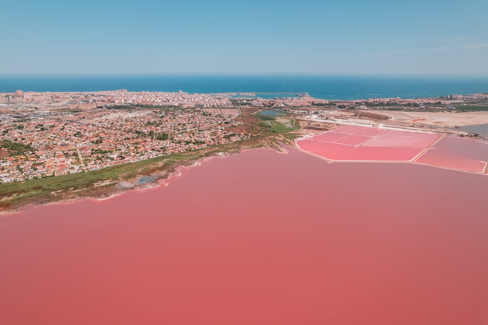 Розовые лагуны La Mata и Torrevieja в провинции Аликанте