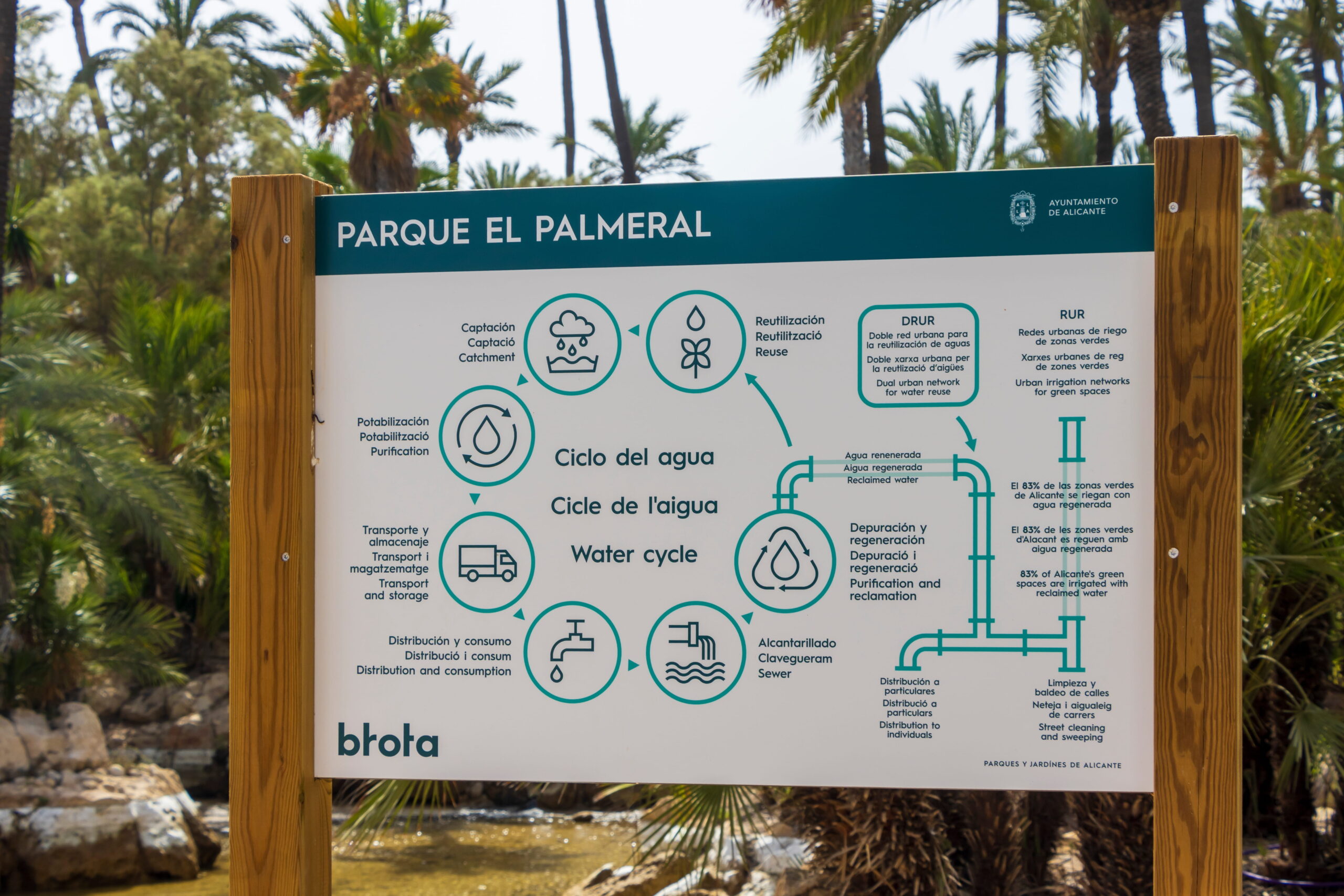 Парки Аликанте – Parque El Palmeral с пальмами и прогулочными зонами